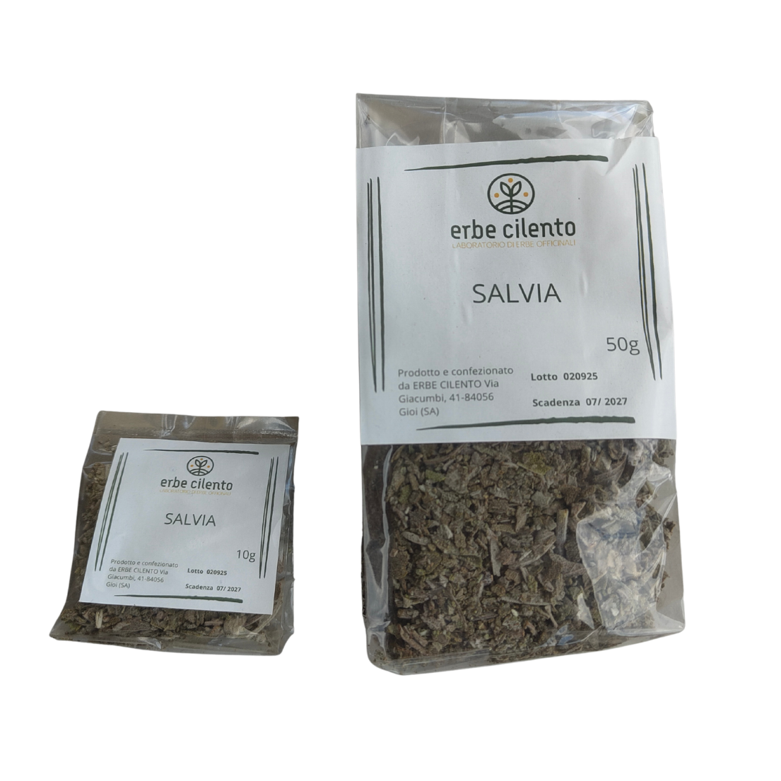 Salvia, Erbe Cilento